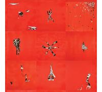 Animal Collective – Hollindagain – Import