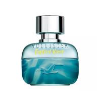 Hollister Festival Vibes for Him Eau de Toilette pour homme 50 ml