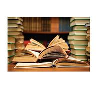 Holly Banks & Christi - Echoes of Xmas