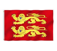 Hollylife Drapeau de la Basse-Normandie 150 x 90 cm avec 2 Œillets Métalliques - France Flag Fanion Tissue pour Festivals, Manif, Decoration Extérieur Jardin