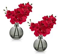 Hollyone 2pcs orchidées Rouges artificielles dans Un Vase, Petite Plante d'orchidée Artificielle avec Vase en Verre, Fausses phalaenopsis décoratives pour Mariage, Centre de Table, décoration