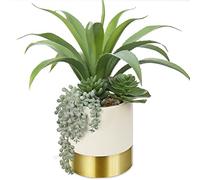 Hollyone 30cm Succulentes artificielles, Faux Aloe Vera avec succulentes dans Un Pot en céramique doré, Plante Artificielle décorative en Pot pour décoration d'intérieur, étagère, Bureau, décoration
