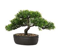Hollyone Bonsaï Artificiel 22,9 cm - Plante d'Intérieur Japonaise - Décoration pour Bureau, Table, Rebord de Fenêtre