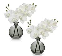 Hollyone Lot de 2 orchidées Blanches artificielles dans Un Vase, Petite orchidée Artificielle avec Vase en Verre, Fausse phalaenopsis décorative pour Mariage, Centre de Table, décoration d'intérieur