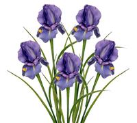 Hollyone Lot de 5 Fleurs d'iris artificielles, Tige de 60 cm de Long, Fausses Fleurs d'iris Violettes, décoration d'iris Artificiel pour la Maison, Le Bureau, Un Mariage, Une décoration de fête, Un a