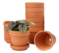 Hollyone Lot de 8 Mini Pots en Terre Cuite de 13x13 cm avec Trou de Drainage, Pots de Fleurs en Argile avec soucoupes, Pots de Fleurs en poterie avec Plateau, Jardin, Balcon