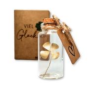 HOLM CRAFT Porte-bonheur, véritable trèfle à quatre feuilles dans une bouteille en verre avec bouchon, petit cadeau pour bonheur, cadeaux d'encouragement, cadeaux de remerciement, porte-bonheur pour