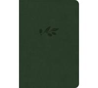 Holman Bible Pu NASB Large Print Compact Reference Bible, Olive (de piel falsa)