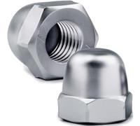 HOLMOL Lot de 30 écrous à chape M6, en acier inoxydable, DIN 1587, hexagonaux, argent, M6 x 1 mm, classe 2B, filetage à droite, ISO Metric