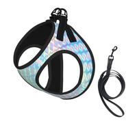 Hologramme de Couleur Arc-en-Ciel coloré Holographique,Harnais pour Animaux de Compagnie, Harnais réfléchissant réglable pour Chien,M