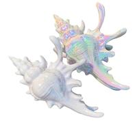 Holographic Conch Shape Hair Claws,5" Non Slip Large Big Hair Clips for Thick Hair Women,Summer Beach Hair Accessories for Women Girls