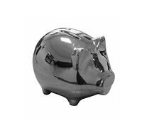 Holst Porcelaine ACS 015 Argent et de Pourboire Tirelire, Argent, 12,5 x 9 x 9,5 cm