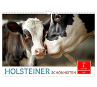 Holsteiner Schönheiten (Wandkalender 2026 DIN A4 quer), CALVENDO Monatskalender: Entdecken Sie glückliche Kühe und niedliche Kälber.