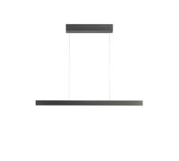 Holtkötter Avior S 2321-2 Pendelleuchte, platine