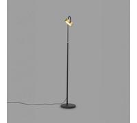 Holtkötter Favor Lampadaire LED, 2050-1-59,