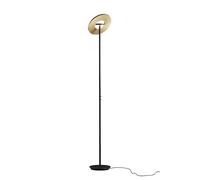 Holtkötter Nova 9906-2 Deckenfluter, noir / laiton anodisé