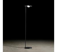 Holtkötter Nova Lampadaire à éclairage indirect, LED, 9907-2-55,