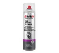 Holts 03330 Nettoyant Système Egr et Carburateur, Argent