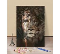 HOLXSW Peinture par numéro de Lion à visage humain NO001 même avec pinceaux - Peinture acrylique parfaite pour la peinture par numéros pour adultes etétudiantsdébutants