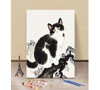 HOLXSW Peinture par Numéros pour Adulte Branche chat noir et blanc 080 DIY Peinture Acrylique pour Adultes débutants Facile sur Toile 40×50 cm avec peintures et pinceaux