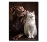 HOLXSW Pintar por Numeros DIY Cuadro al óleo con números para Kit de Pintura al óleo Digital para Adultos de Lienzo decoración para el hogar Un regard fidèle 40x50cm Sin marco