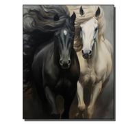 HOLXSW Pintar por Numeros para Adultos Pintura por Números con Pinceles y Pinturas Decoraciones para el Hogar Galop en noir et blanc 40 * 50cm Sin marco