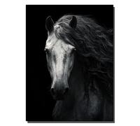 HOLXSW pintar por numeros para adultos Un cheval blanc à la crinière noire regarde Kits de regalo de pintura al óleo digital de bricolaje arte de lienzo decoración del hogar -40x50cm Sin marco