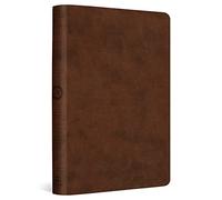 Holy Bible: ESV, Brown, Value Compact Trutone
