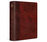 Holy Bible: Esv Single Column Journaling Bible, Trutone, Burgundy/red, Timeless Design