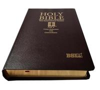 Holy Bible NIV Regular BL Burgundy (New International Version) Red Letter Cross-Reference with Concordance BSI