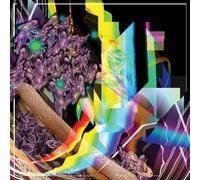 Soulkeeper – Holy Design – Vinyle LP – The Orchard