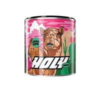 HOLY Energy Gaming Booster 'Cactus Camel' avec goût de figue de Barbarie en poudre| 50 portions avec NewCaff & extrait de thé vert | Focus Drink | Vegan avec arômes de fruits 100% naturels