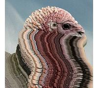 Holy Fuck - Bird Brains 10''