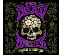 Holy Ground Vinyle Violet Transparent E