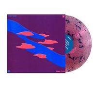 Holy Hive Vinyle Coloré