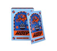 HOLY Iced Tea Boîte découverte 10 sachets «Classic Black Tea x Assam» au goût de thé noir en poudre | 10 portions avec antioxydants | Thé glacé sans sucre | Végan avec arômes naturels de fruits