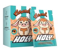 HOLY Milkshake Coffret dégustation de 10 portions Caramel - 10 portions enrichies en vitamines B, C et D et arômes 100% naturels - sans sucre, sans caféine et vegan