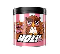 HOLY Milkshake en Poudre 'Iced Coffee Caramel' - 50 Portions Milkshake Coffee Caramel en Pack Familial - Sans Sucre, Sans Caféine, Faible en Calories & Végan - 100% d'Arômes Naturels