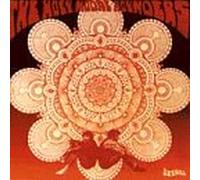 Holy Modal Rounders - Indian War Woop