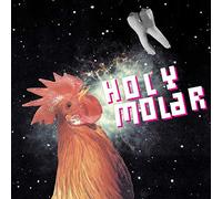 Holy Molar - The Whole Tooth and Nothing But. [Import]