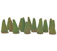 Holy Smokes Cônes D'Encens Encens Patchouli 20 Grammes