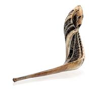 Chophar koudou traditionnel d'Israël - 35,6 - 40,6 cm - Avec sac de transport, brosse, spray anti-odeur et guide de soufflage - Instrument de musique juif ancien