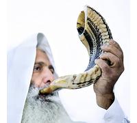Holy Voice Klaxon de bélier casher d'Israël traditionnel à moitié poli, instrument de musique juif antique de Terre Sainte, bec lisse pour un soufflage facile, shofar clair (30,5 - 35,6 cm)