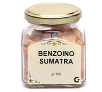 Holyart Benjoin Sumatra 100 GR