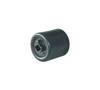 Holzmann - Rouleau caoutchouc à expansion gonflable D. 90 x 100 x Al. 19 mm pour satineuse SM100 - SM100EW-AUFBLASB - Holzmann