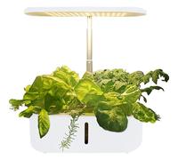 Holzsammlung Jardin D'Plant Hydroponique, Lampe LED pour Plantes,10 Pods, Kit De Germination pour Jardin D'Herbes Aromatiques, SystèMe De Pompe Silencieux, éCran Tactilehauteur RéGlable (Blanc)