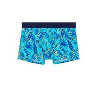 HOM Boxer Valley