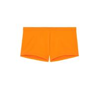 HOM - Swim Shorts - Sea Life - 1035 2XL