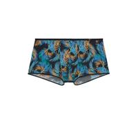 HOM - Trunk - Chico - P0BI L