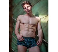 HOM - Trunk - Leopard - J004 2XL